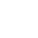 Reino Animal